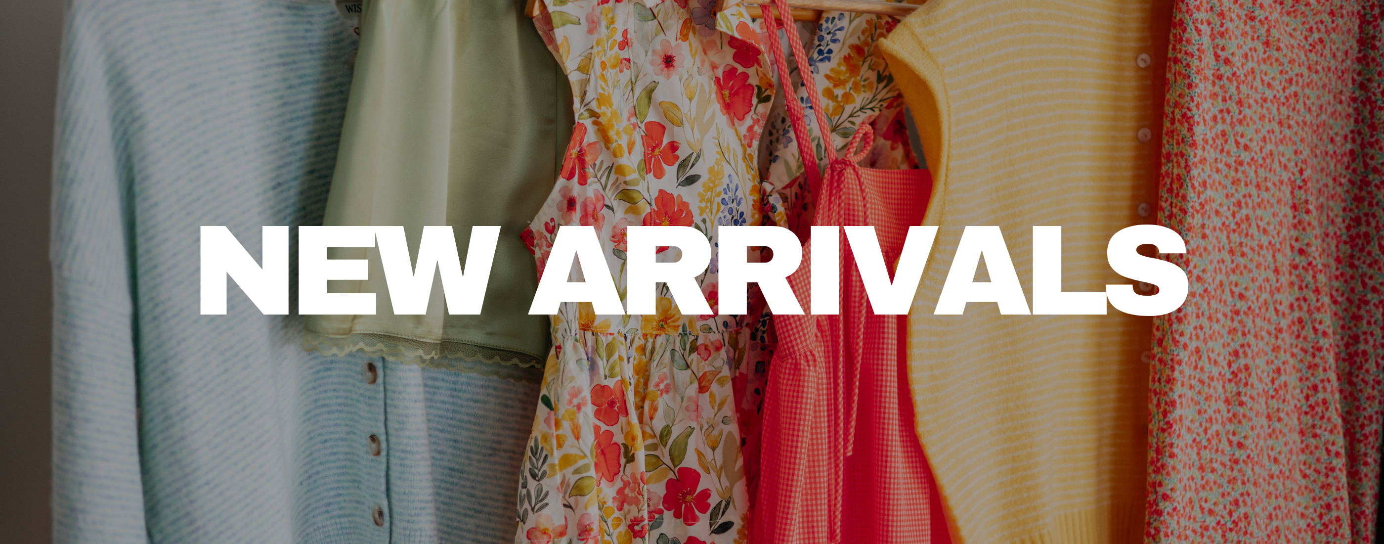 All New - Wild Oak Boutique