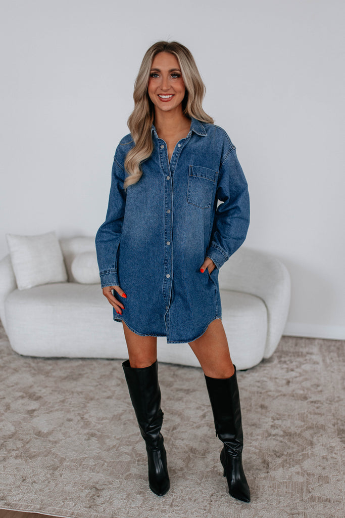 Reid Mica Denim Shirt Dress