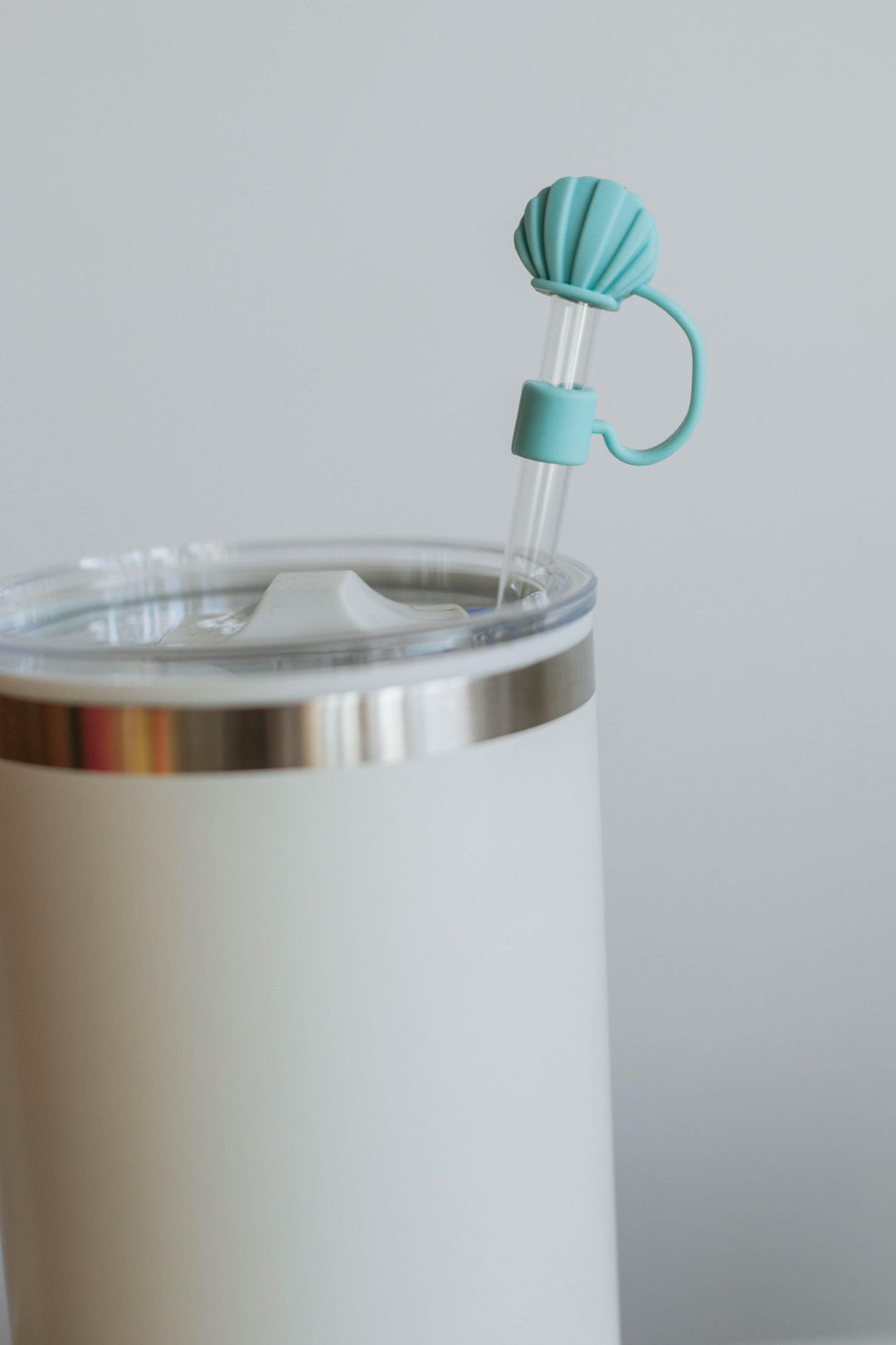 Happily Hydrated Straw Cover
